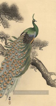 Oiseau œuvres - paon 1 oiseaux Ohara KOSON